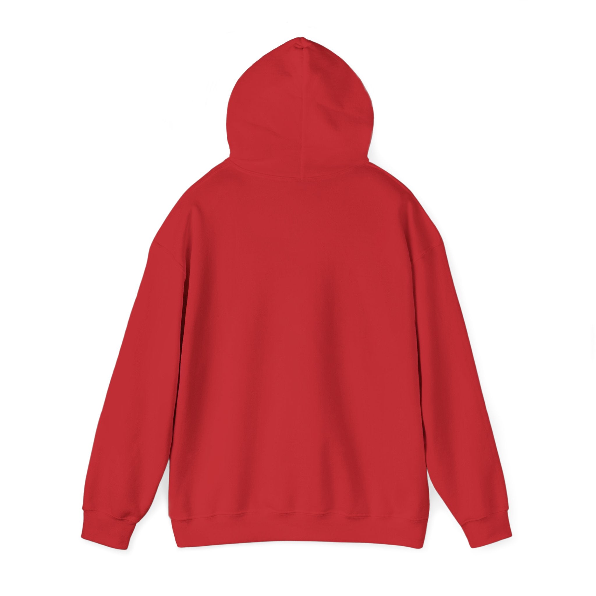 Awakening Aesthetics Gym Hoodie for Men & Women | Athletic Pullover with Kangaroo Pocket | 50/50 Cotton-Poly Blend | Comfortable, Stylish & Ethically Made | Unisex Classic Fit