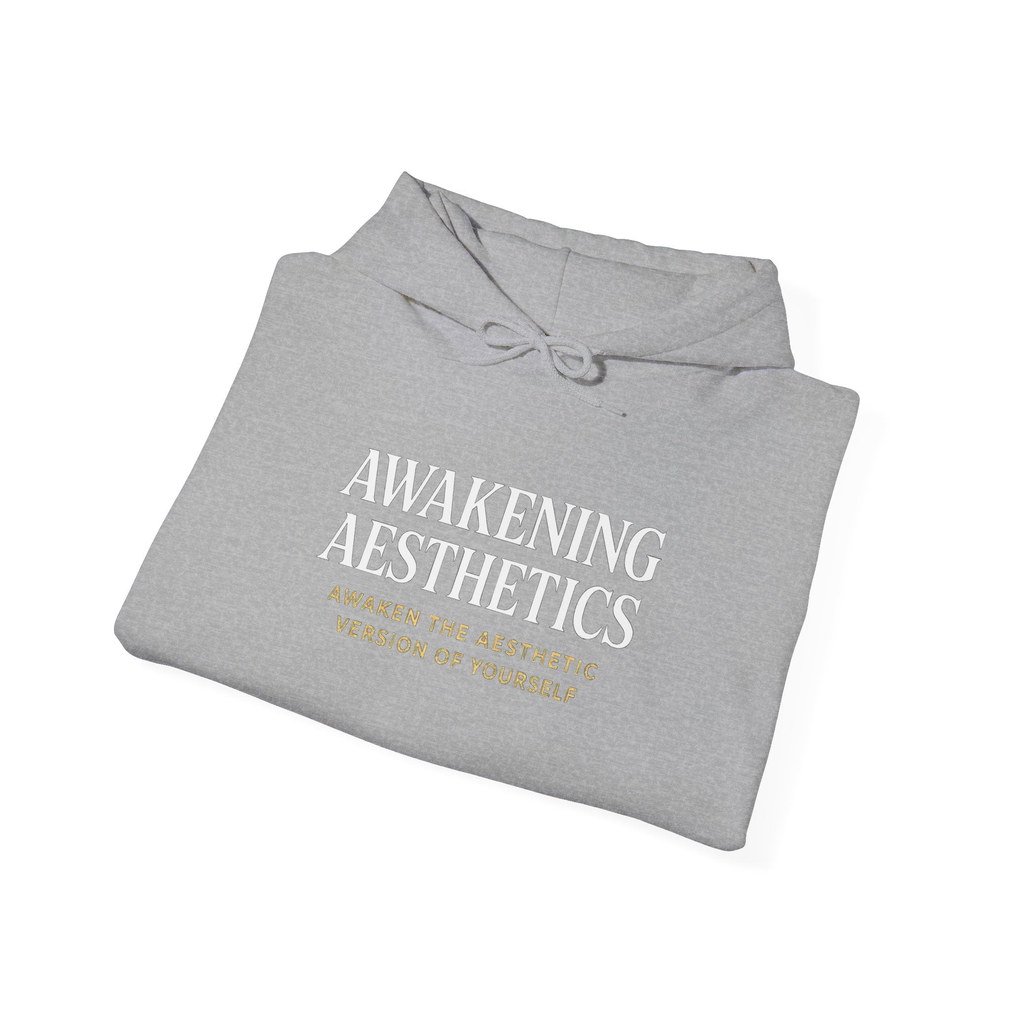 Awakening Aesthetics Gym Hoodie for Men & Women | Athletic Pullover with Kangaroo Pocket | 50/50 Cotton-Poly Blend | Comfortable, Stylish & Ethically Made | Unisex Classic Fit