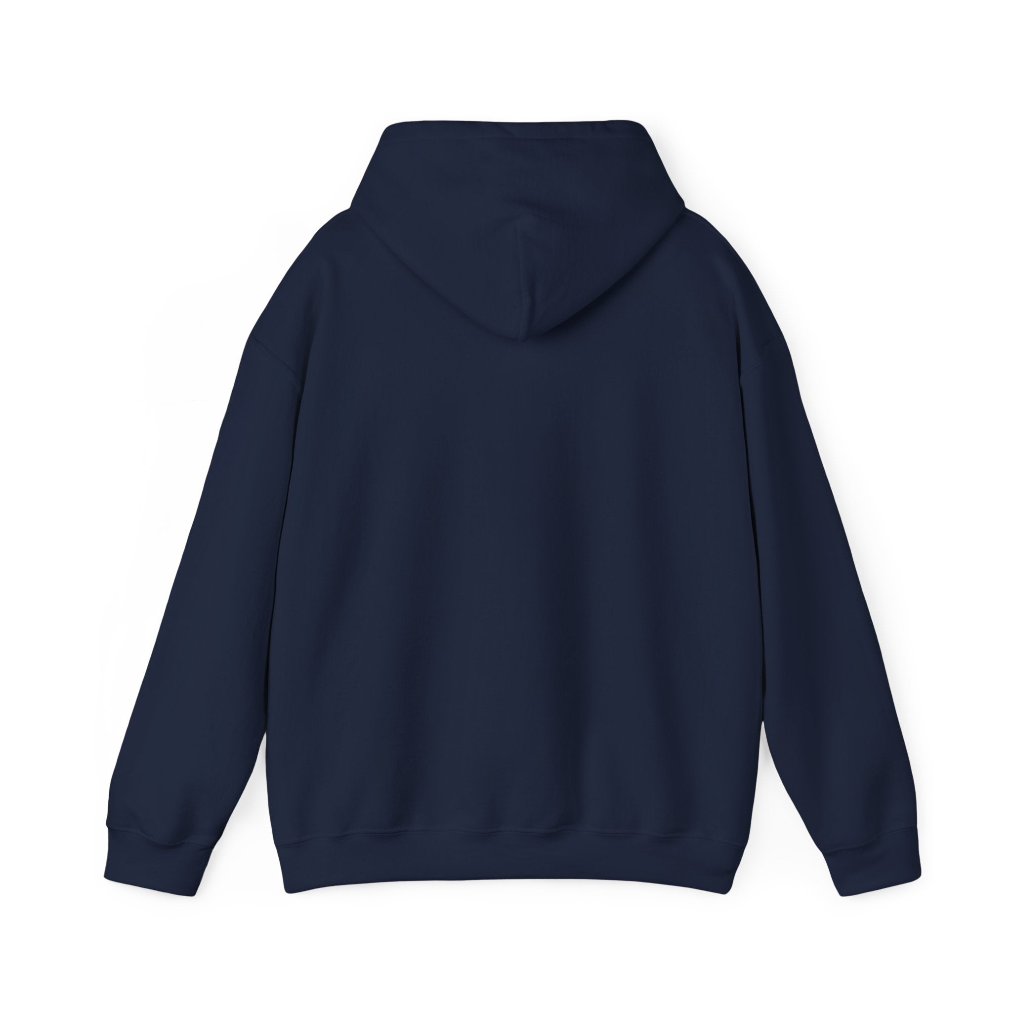 Awakening Aesthetics Gym Hoodie for Men & Women | Athletic Pullover with Kangaroo Pocket | 50/50 Cotton-Poly Blend | Comfortable, Stylish & Ethically Made | Unisex Classic Fit