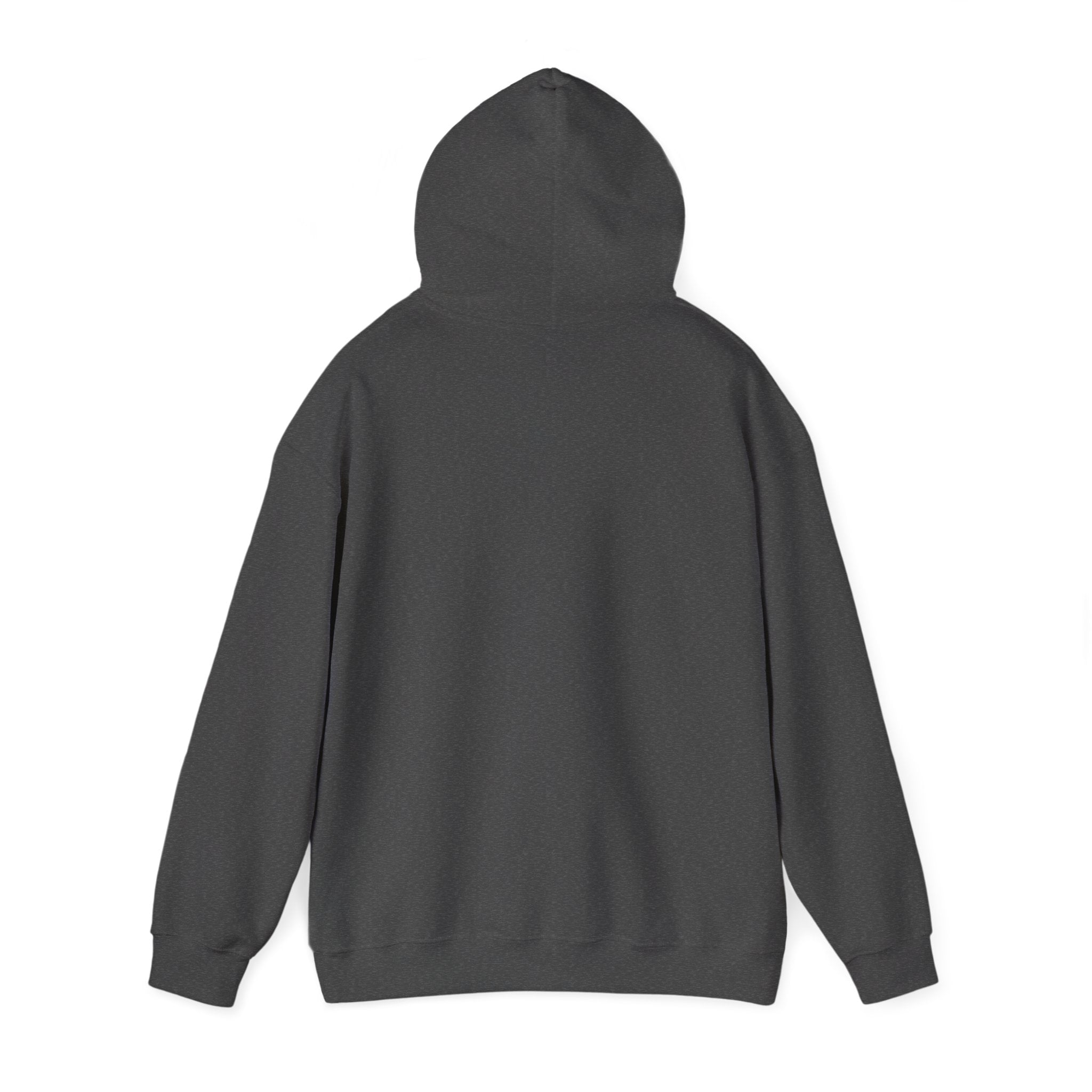 Awakening Aesthetics Gym Hoodie for Men & Women | Athletic Pullover with Kangaroo Pocket | 50/50 Cotton-Poly Blend | Comfortable, Stylish & Ethically Made | Unisex Classic Fit