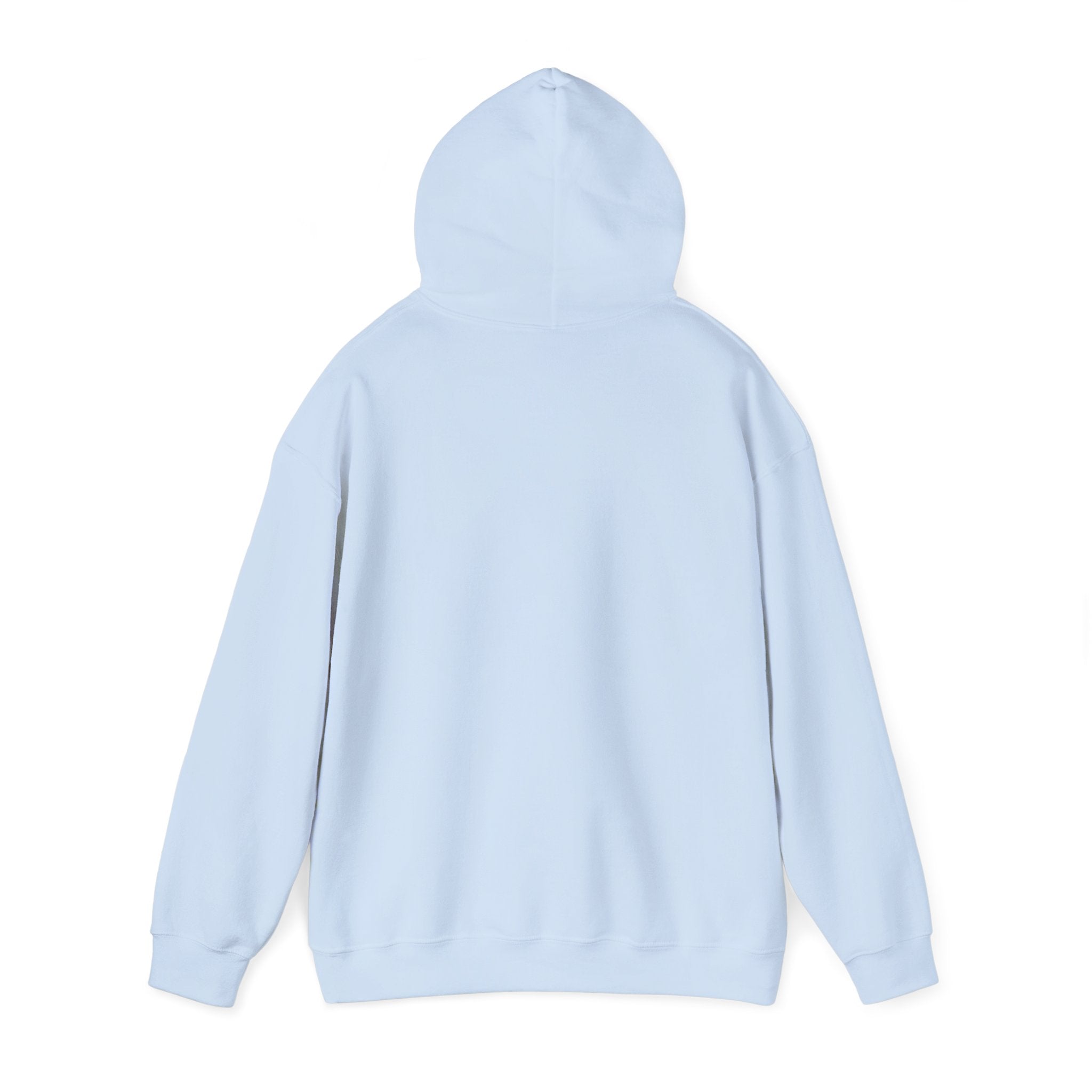 Awakening Aesthetics Gym Hoodie for Men & Women | Athletic Pullover with Kangaroo Pocket | 50/50 Cotton-Poly Blend | Comfortable, Stylish & Ethically Made | Unisex Classic Fit
