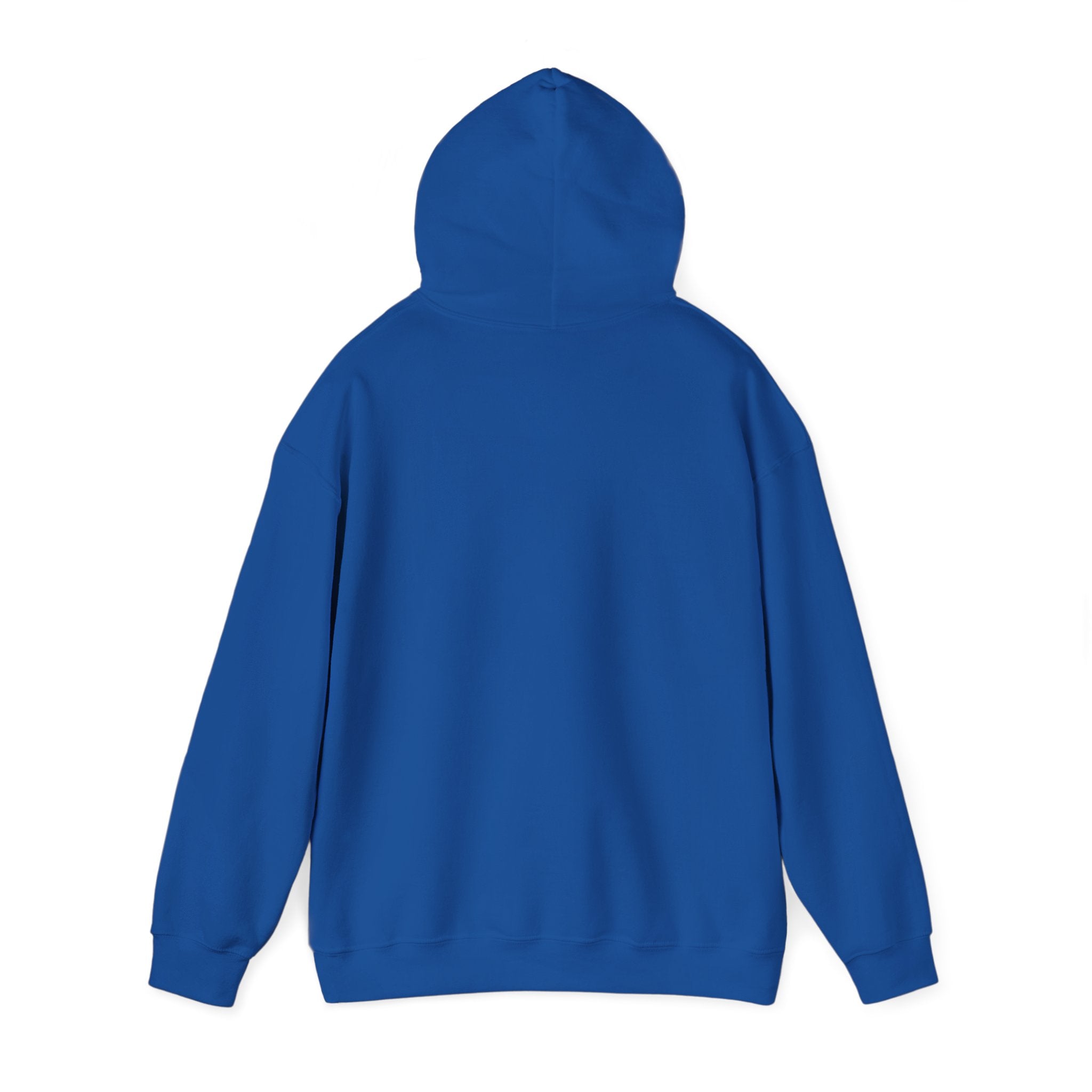Awakening Aesthetics Gym Hoodie for Men & Women | Athletic Pullover with Kangaroo Pocket | 50/50 Cotton-Poly Blend | Comfortable, Stylish & Ethically Made | Unisex Classic Fit