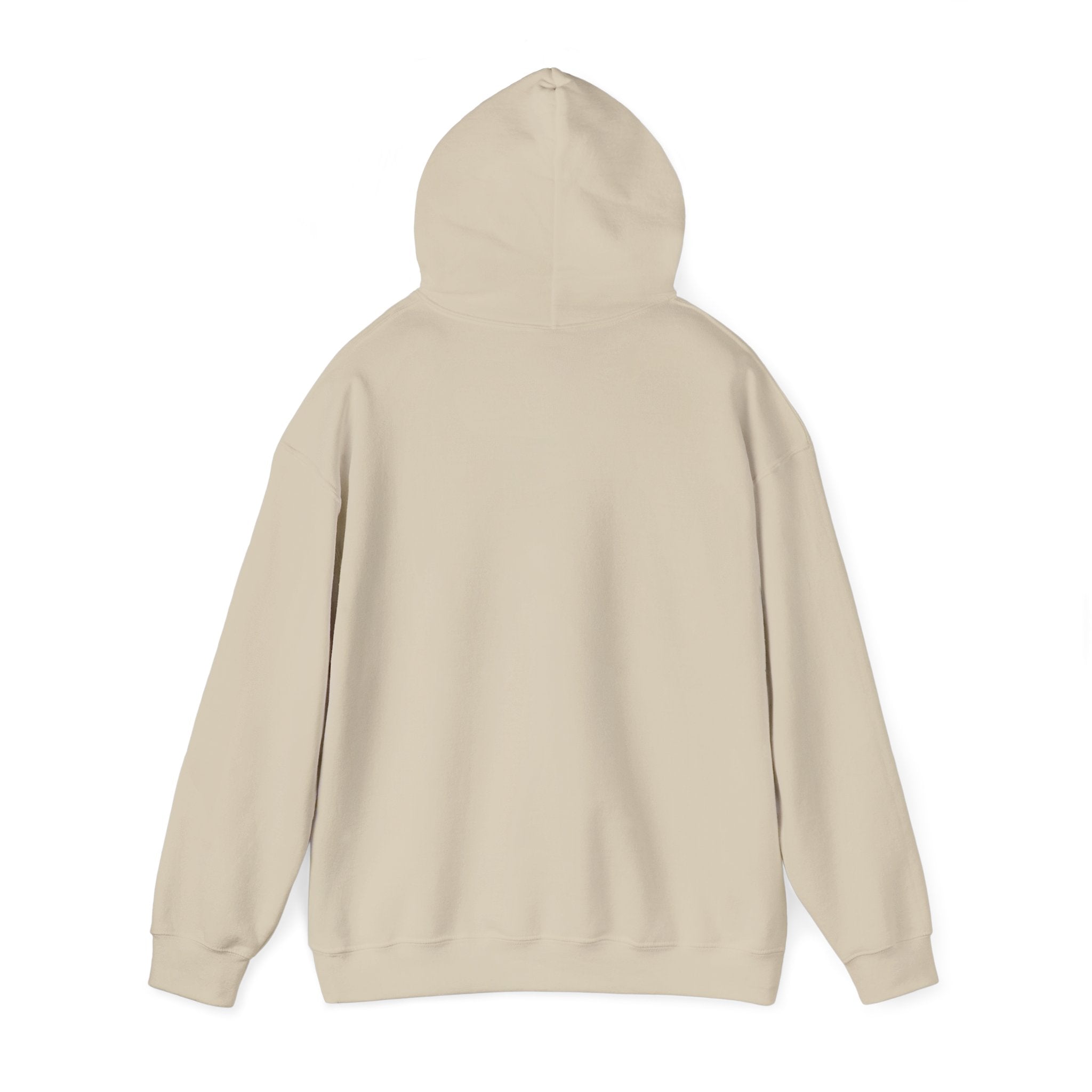 Awakening Aesthetics Gym Hoodie for Men & Women | Athletic Pullover with Kangaroo Pocket | 50/50 Cotton-Poly Blend | Comfortable, Stylish & Ethically Made | Unisex Classic Fit