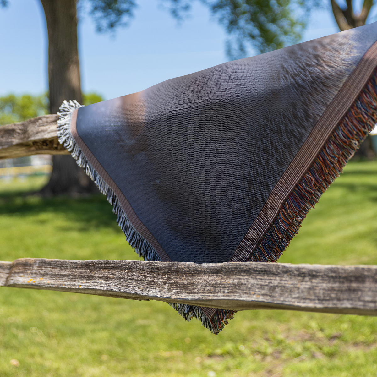 Baby_Owl_Fox_And_Hedgehog_Watching_Snow__Fence_H_Mockup.png_15329843