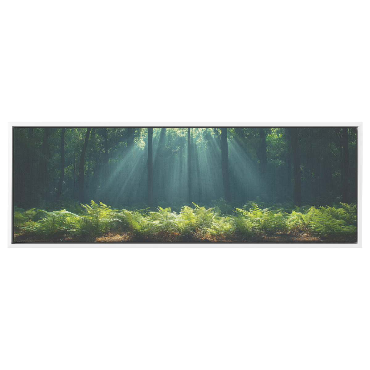 Forest_View_Sunlight_Streaming_Thick_Can_White_Framed_Canvas_H_Panoramic_Main_Mockup.png