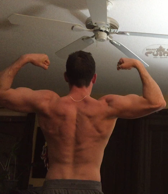 Natural Bodybuilding Awakening Aesthetics Program & Book