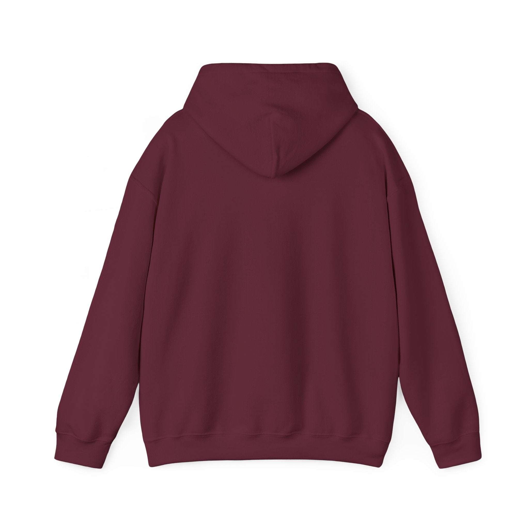 Awakening Aesthetics Gym Hoodie for Men & Women | Athletic Pullover with Kangaroo Pocket | 50/50 Cotton - Poly Blend | Comfortable, Stylish & Ethically Made | Unisex Classic Fit - AWAKENING AESTHETICS