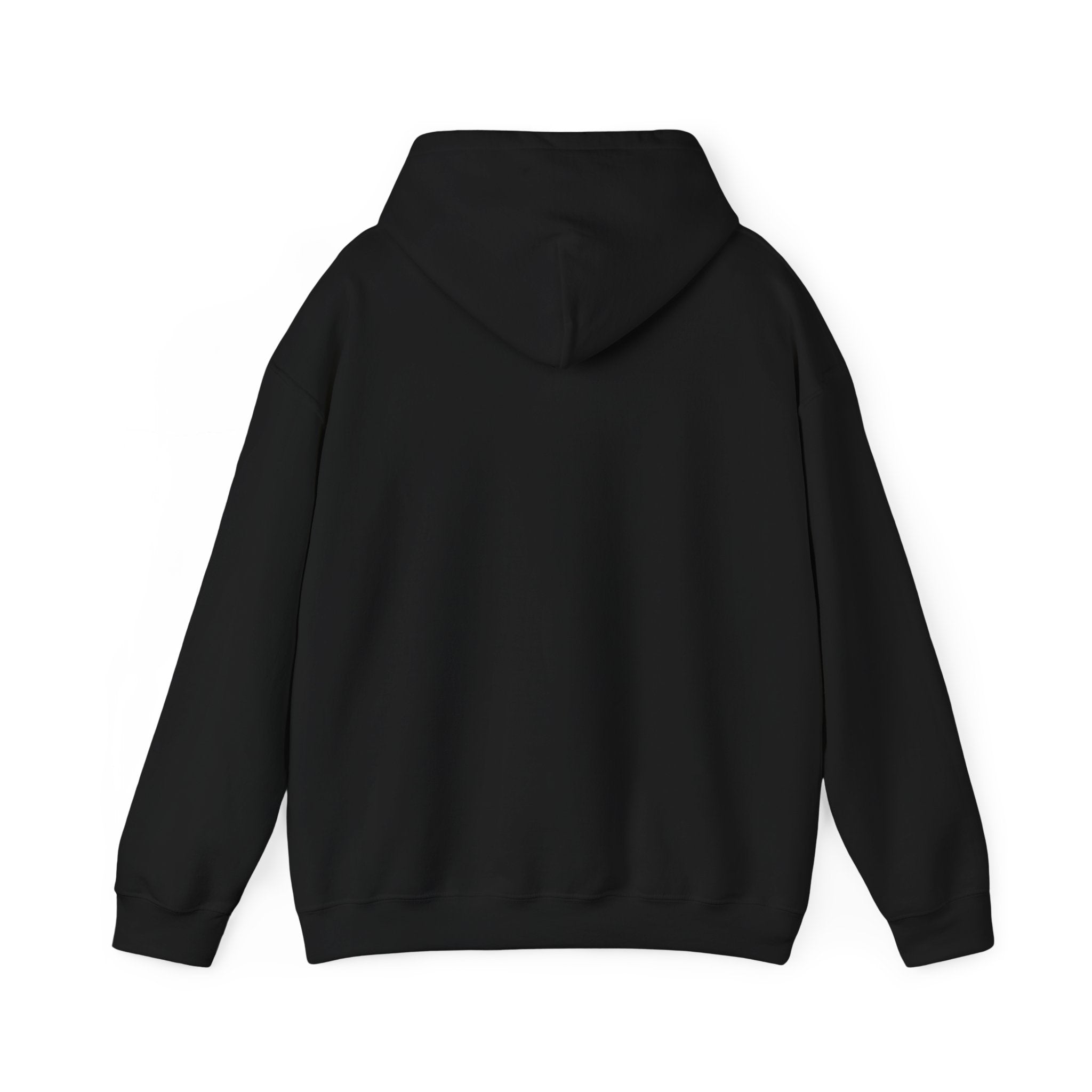 Awakening Aesthetics Gym Hoodie for Men & Women | Athletic Pullover with Kangaroo Pocket | 50/50 Cotton - Poly Blend | Comfortable, Stylish & Ethically Made | Unisex Classic Fit - AWAKENING AESTHETICS