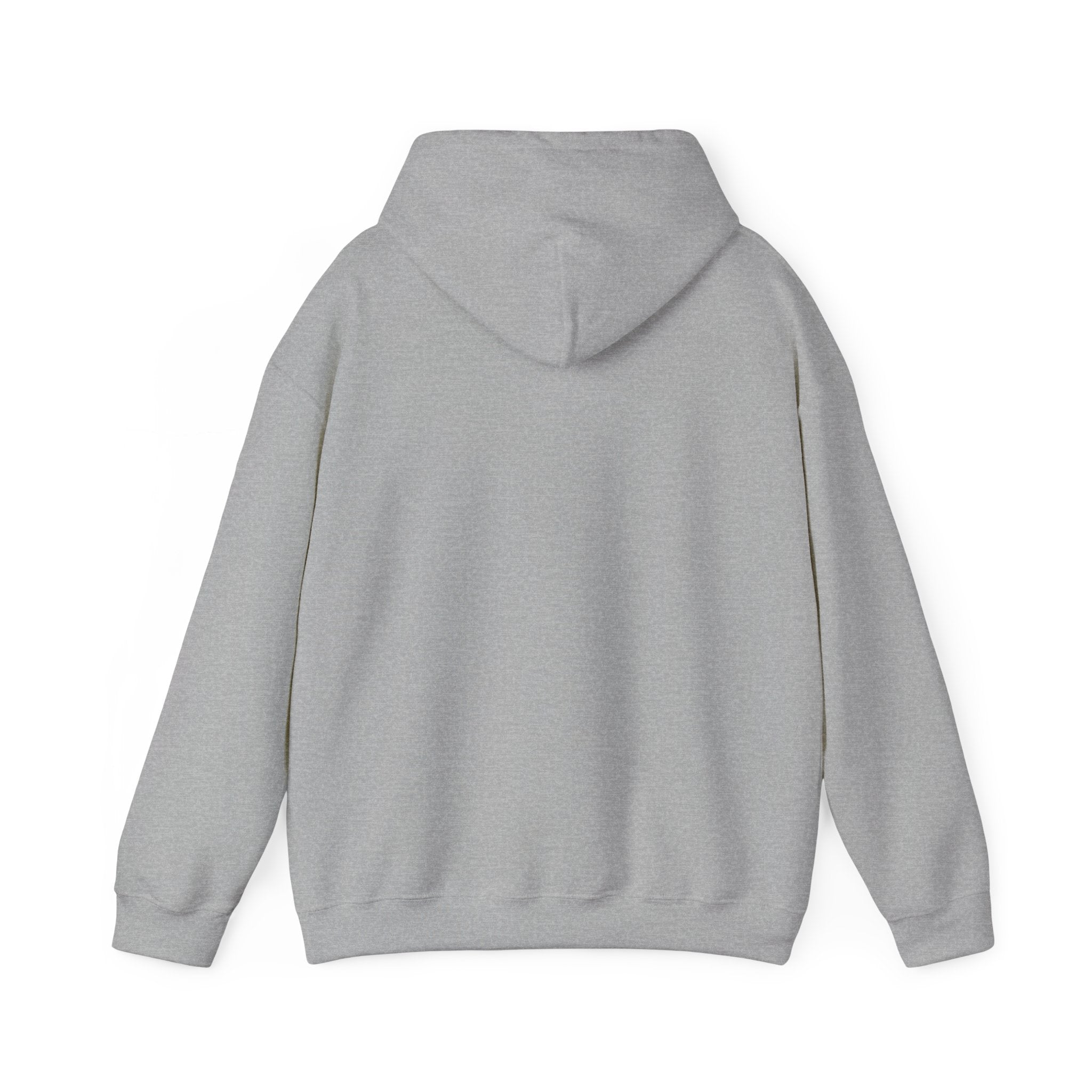 Awakening Aesthetics Gym Hoodie for Men & Women | Athletic Pullover with Kangaroo Pocket | 50/50 Cotton - Poly Blend | Comfortable, Stylish & Ethically Made | Unisex Classic Fit - AWAKENING AESTHETICS