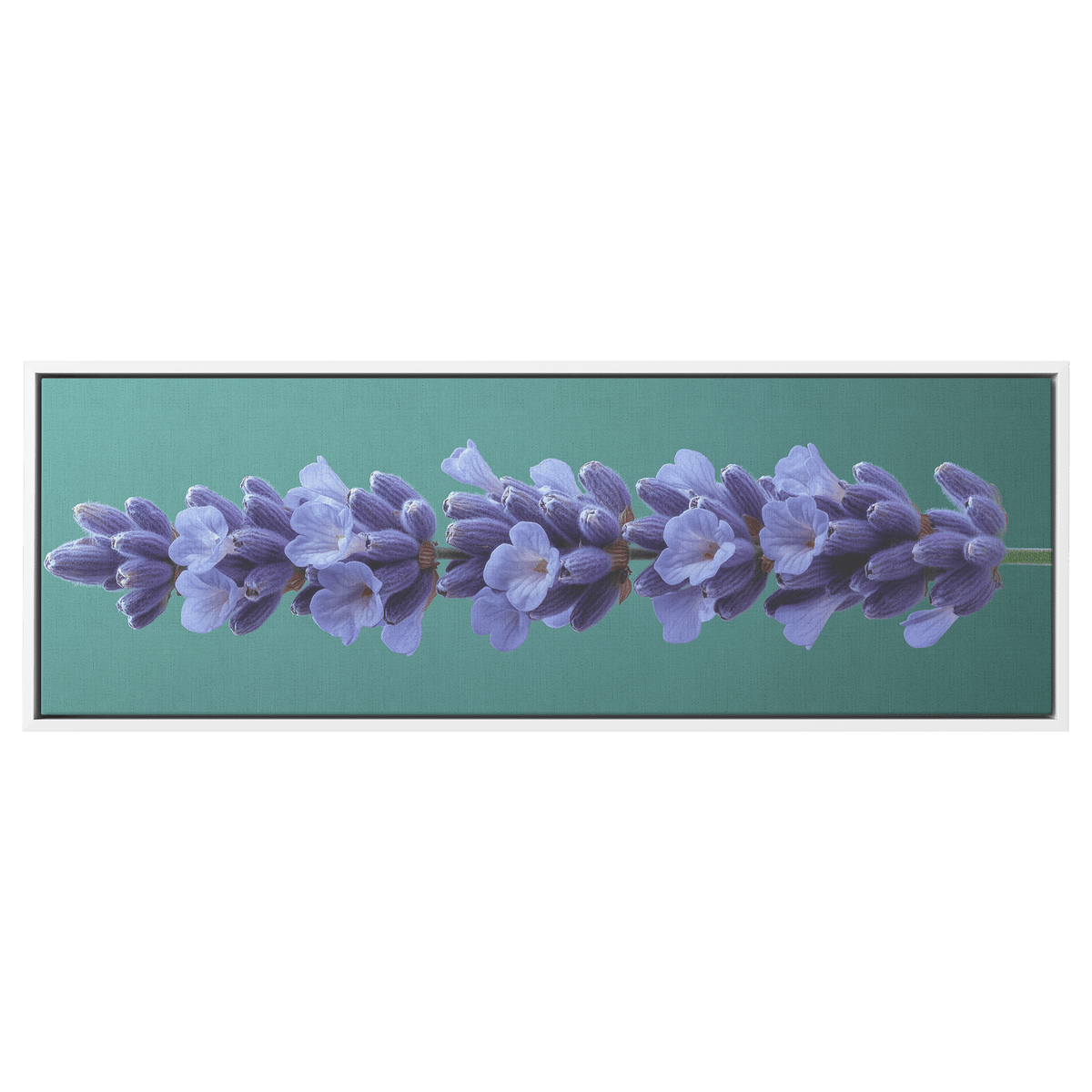 Minimalist Single Stem Floral Artwork Lavender Simple Linework Soft Green Background Elegant Minimalism Ultra High Definition Panoramic Framed Canvas Wall Art - Awakening Righteousness