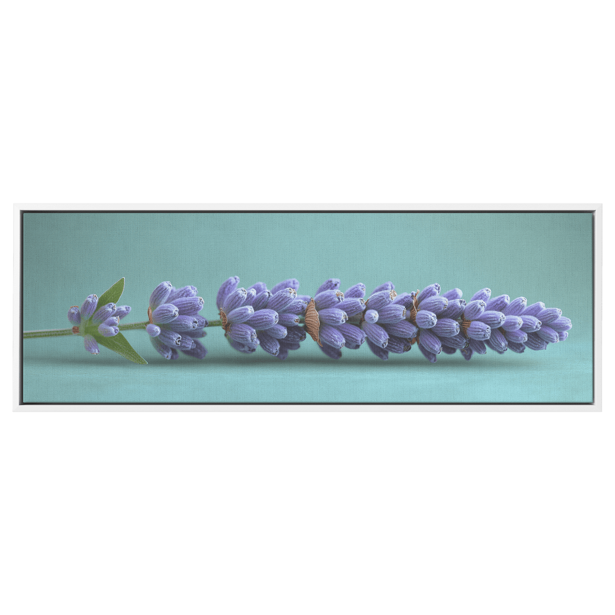 Minimalist Single Stem Floral Artwork Lavender Simple Linework Soft Green Background Elegant Minimalism Ultra High Definition Panoramic Framed Canvas Wall Art - Awakening Righteousness