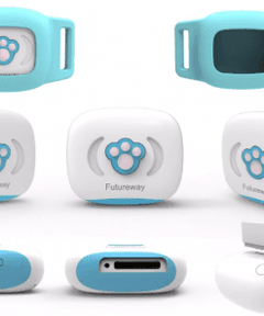 Smart GPS Tracker Cat Dog Pet Collar