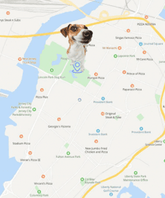 Smart GPS Tracker Cat Dog Pet Collar