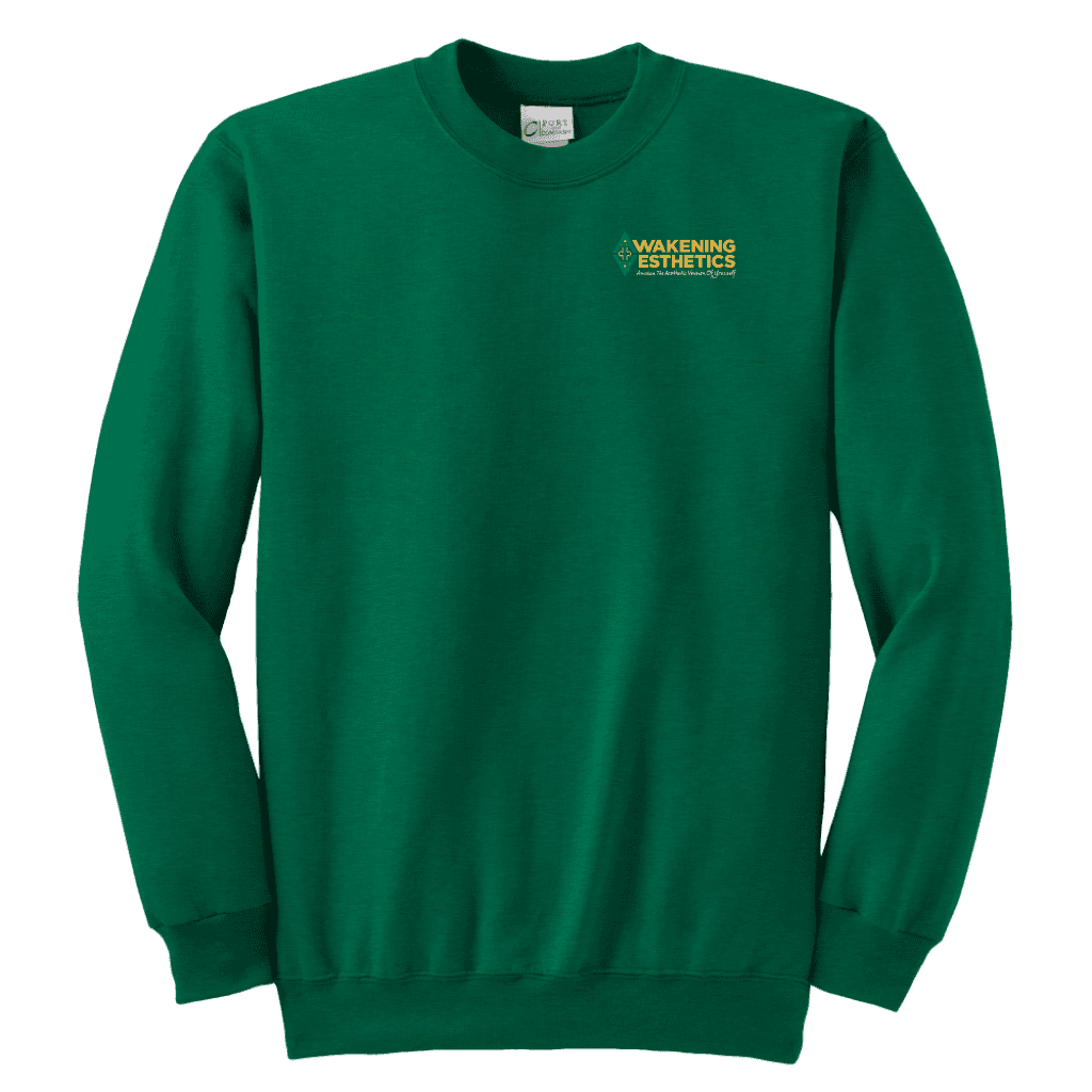 Awakening Aeshetics Youth Crewneck Sweatshirt