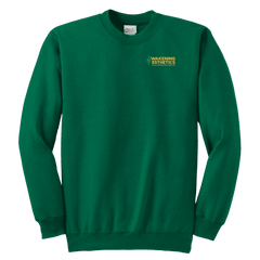 Awakening Aeshetics Youth Crewneck Sweatshirt