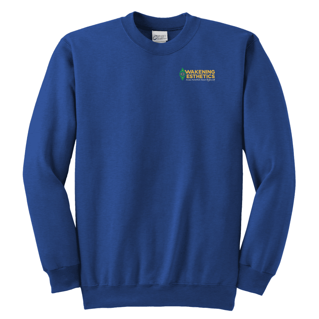 Awakening Aeshetics Youth Crewneck Sweatshirt