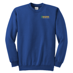 Awakening Aeshetics Youth Crewneck Sweatshirt