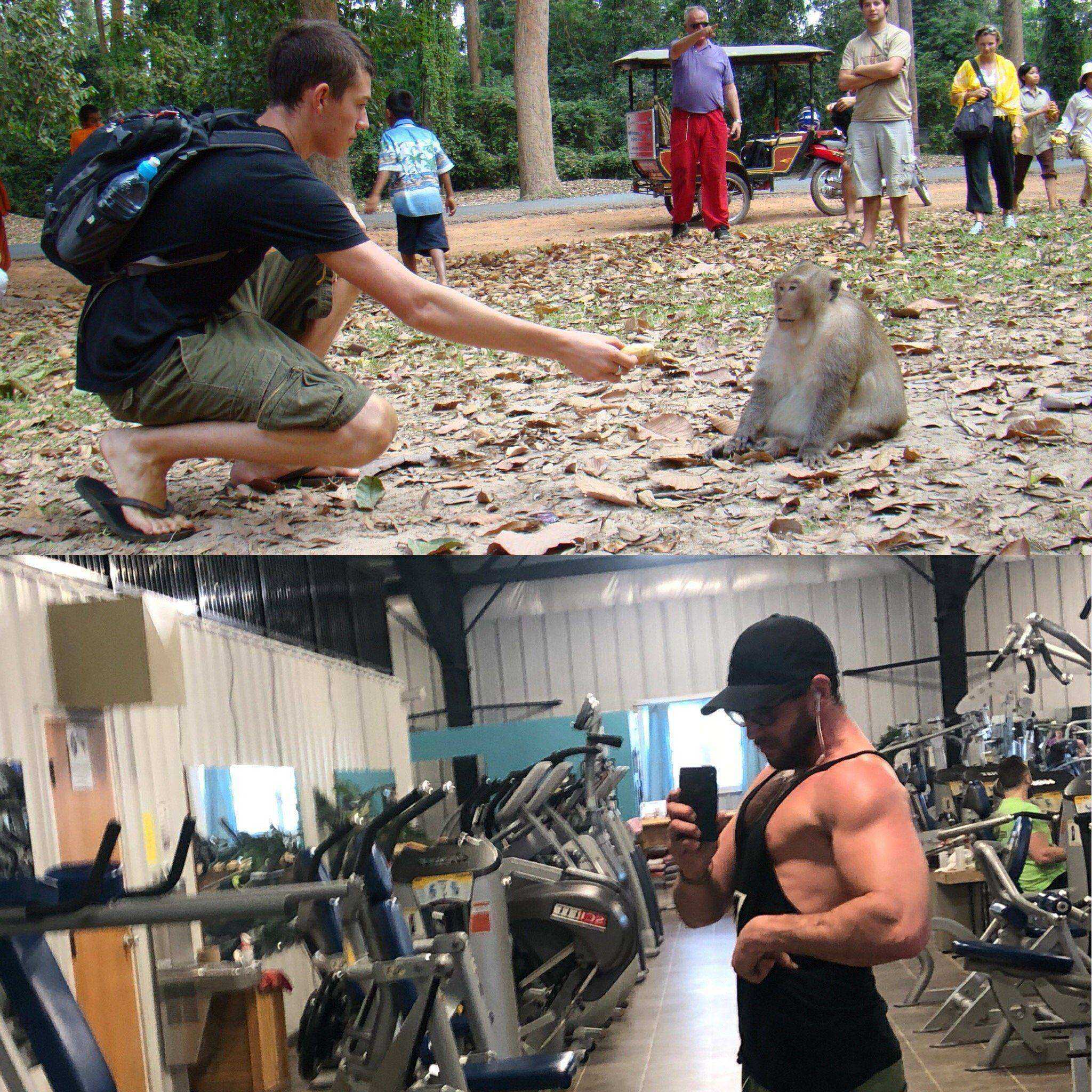 Natural Bodybuilding Awakening Aesthetics Program & Book