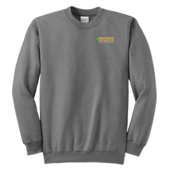 Awakening Aeshetics Youth Crewneck Sweatshirt