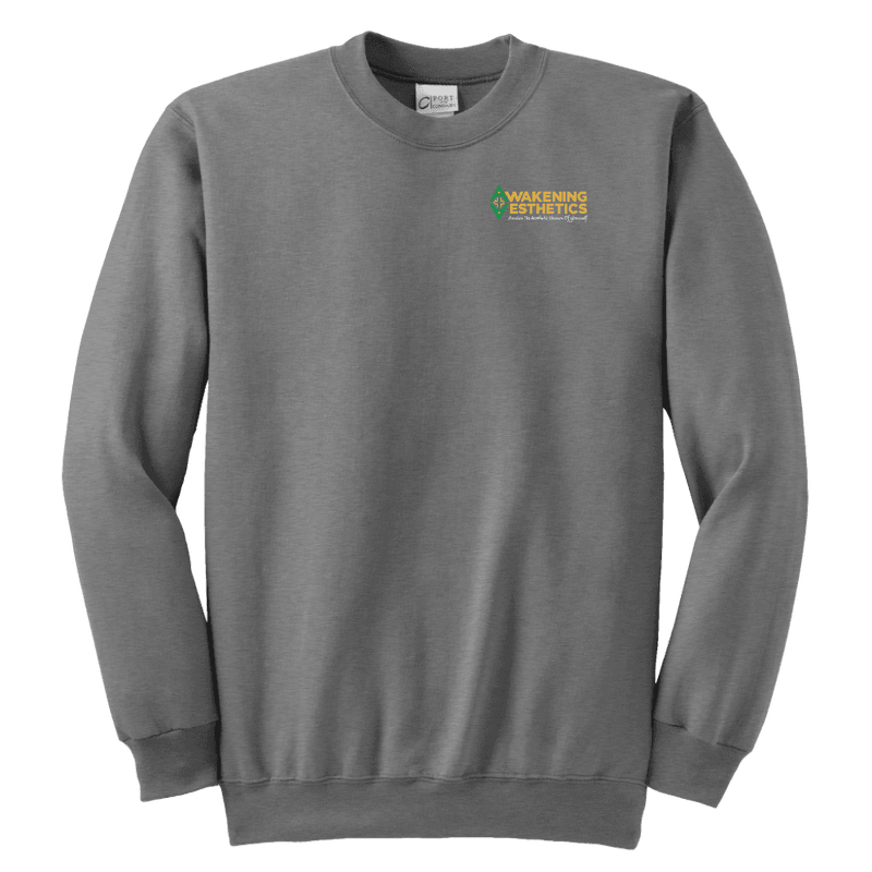 Awakening Aeshetics Youth Crewneck Sweatshirt