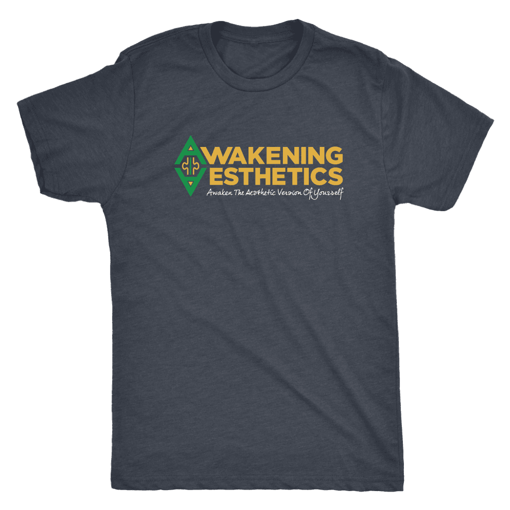 Awakening Aesthetics Next Level Mens Triblend T Shirt