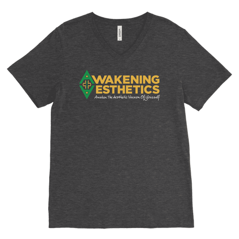 Image of Awakening Aesthetics V Neck T Shirt For Men