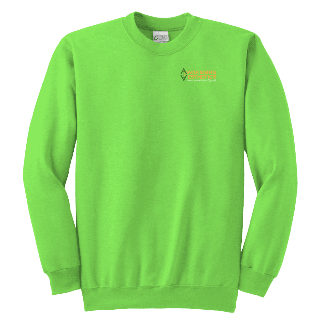 Awakening Aeshetics Youth Crewneck Sweatshirt