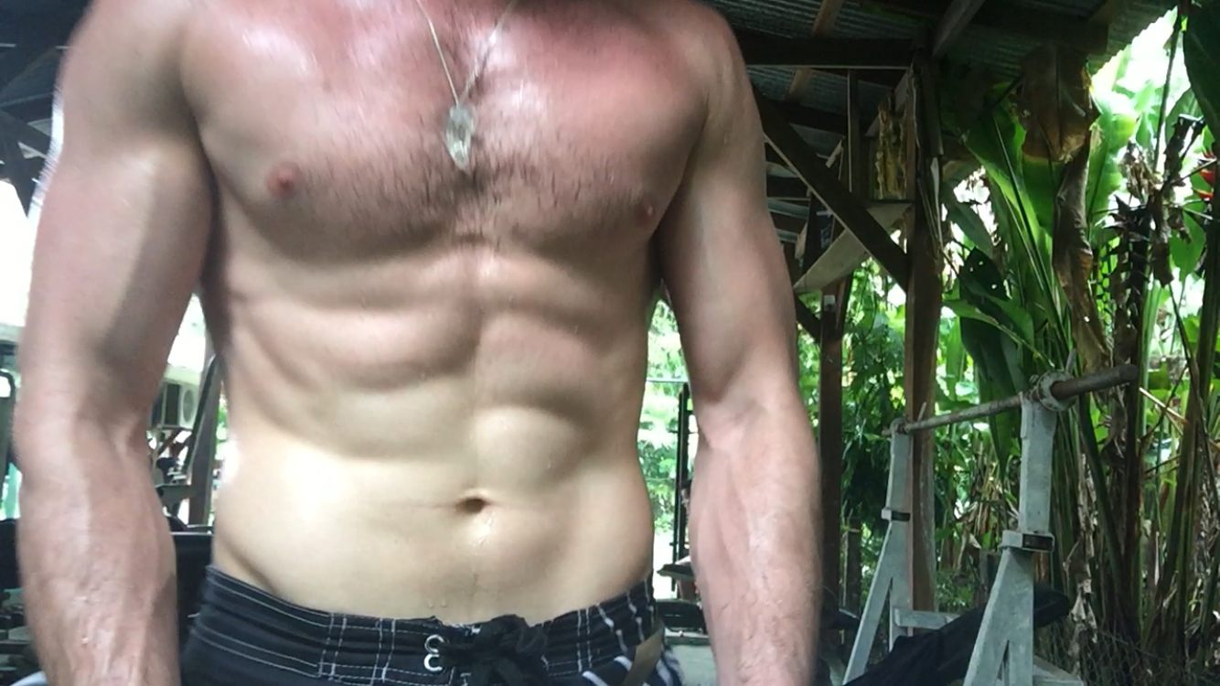 Natural Bodybuilding Awakening Aesthetics Program & Book