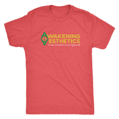 Awakening Aesthetics Next Level Mens Triblend T Shirt