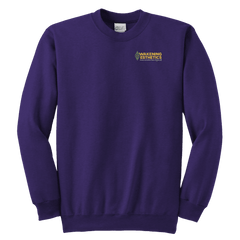 Awakening Aeshetics Youth Crewneck Sweatshirt