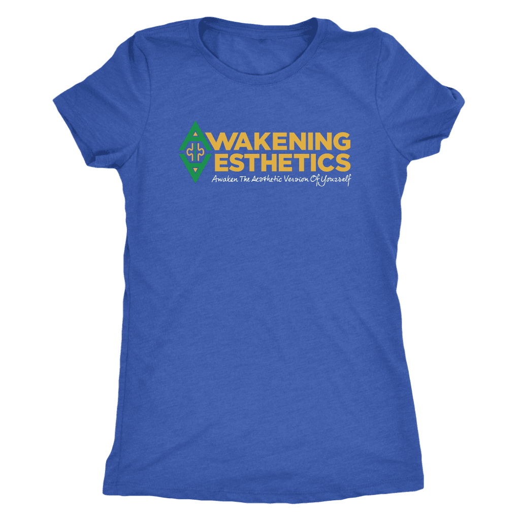 Awakening Aesthetics Next Level Womens Triblend T Shirt