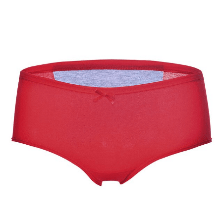Female Leak Proof Menstrual Panties Physiological Pants
