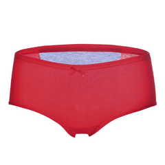 Female Leak Proof Menstrual Panties Physiological Pants