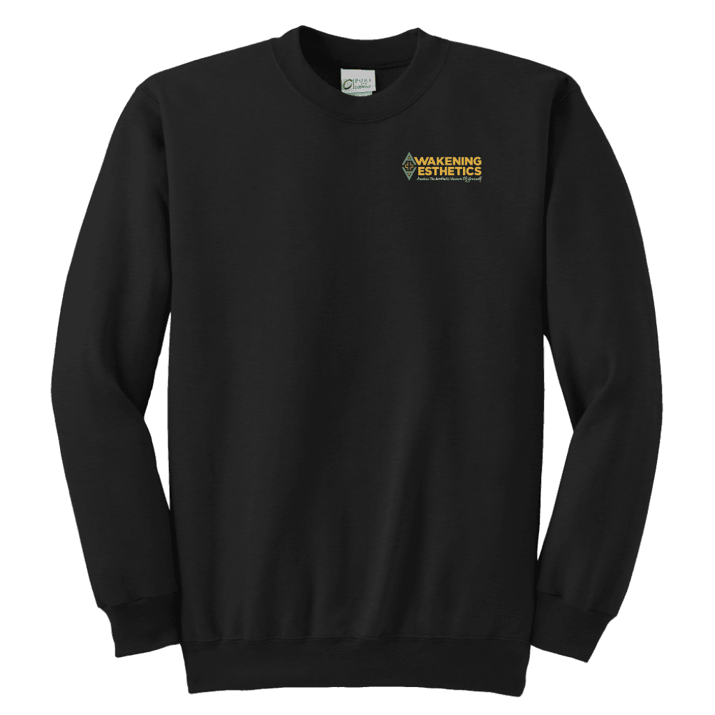 Awakening Aeshetics Youth Crewneck Sweatshirt