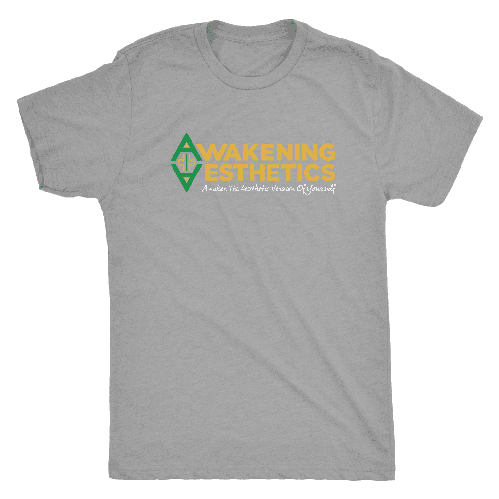 Awakening Aesthetics Next Level Mens Triblend T Shirt