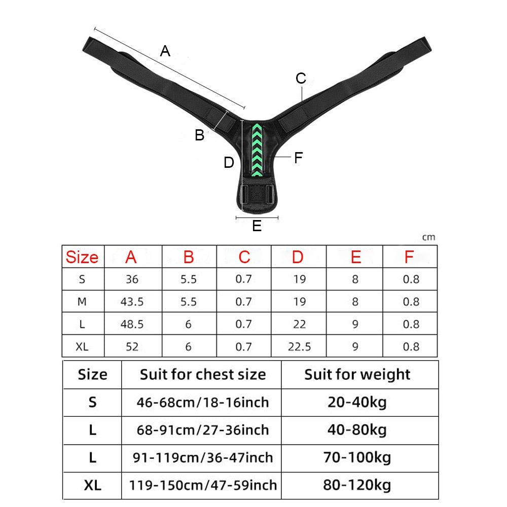 Aesthetic Adjustable Posture Corrector For Women - AWAKENING AESTHETICS