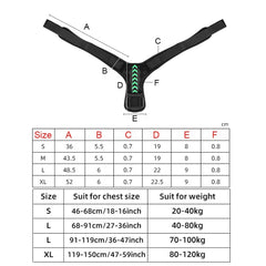 Aesthetic Adjustable Posture Corrector For Women - AWAKENING AESTHETICS
