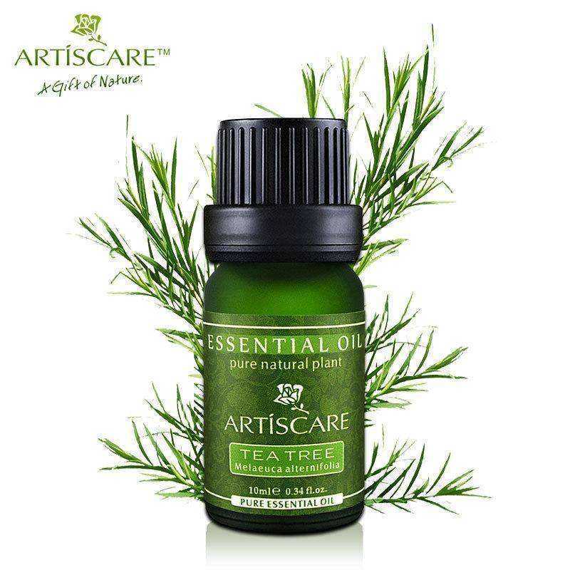 Health - ARTISCARE 100% Tea Tree Pure Essential Oil