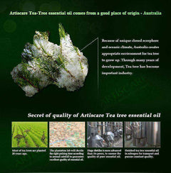 Health - Powerful Acne Remover 100% Pure Tea Tree Essential Oil