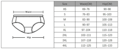 Aesthetic Print Mesh Super Breathable Seamless Women Sexy Panties