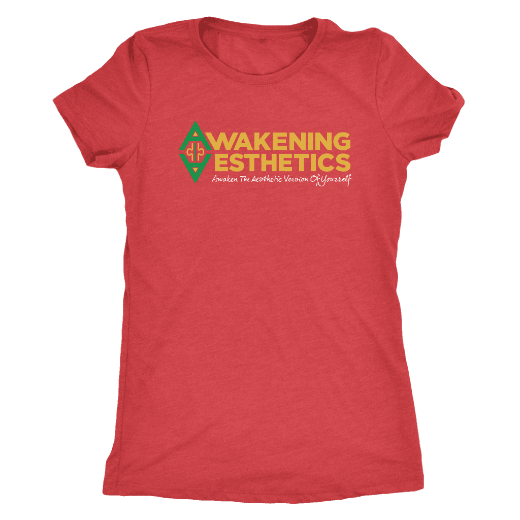 Awakening Aesthetics Next Level Womens Triblend T Shirt