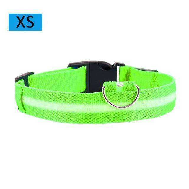 Cat & Kitten New Bright LED Collar 7 Color Glowing Cat Leash