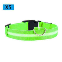 Cat & Kitten New Bright LED Collar 7 Color Glowing Cat Leash