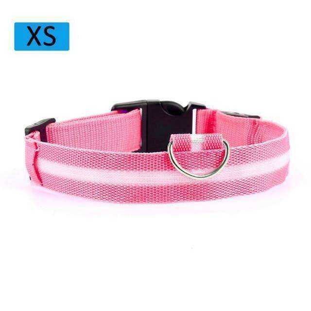 Cat & Kitten New Bright LED Collar 7 Color Glowing Cat Leash
