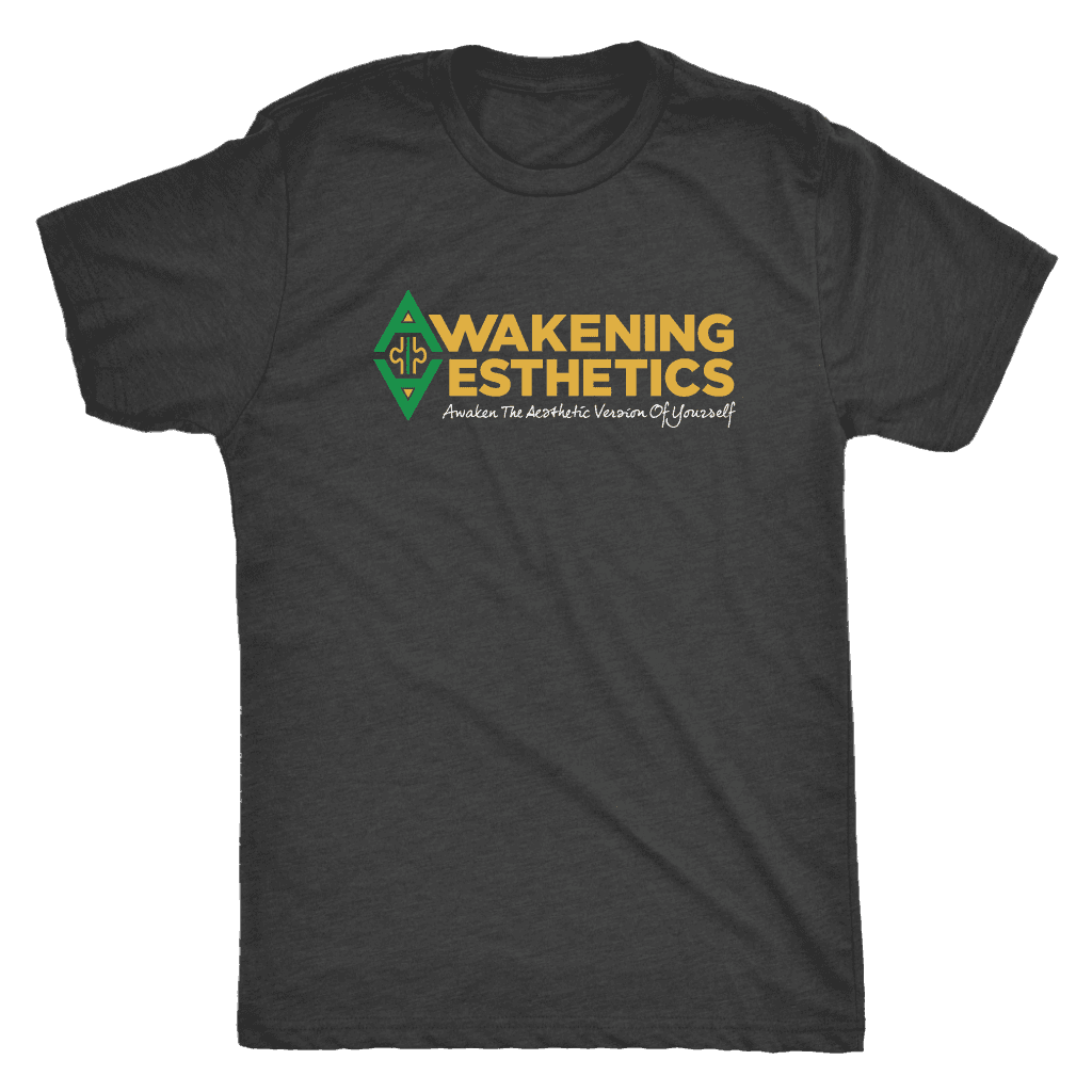 Awakening Aesthetics Next Level Mens Triblend T Shirt