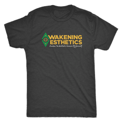 Awakening Aesthetics Next Level Mens Triblend T Shirt