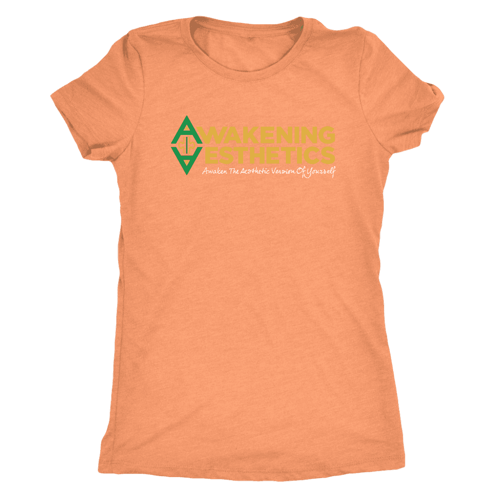 Awakening Aesthetics Next Level Womens Triblend T Shirt