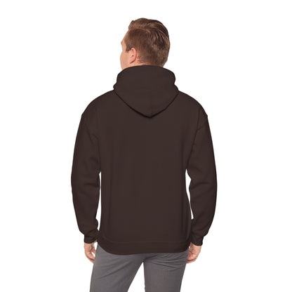 Awakening Aesthetics Bodybuilding Hoodie - Awakening Righteousness