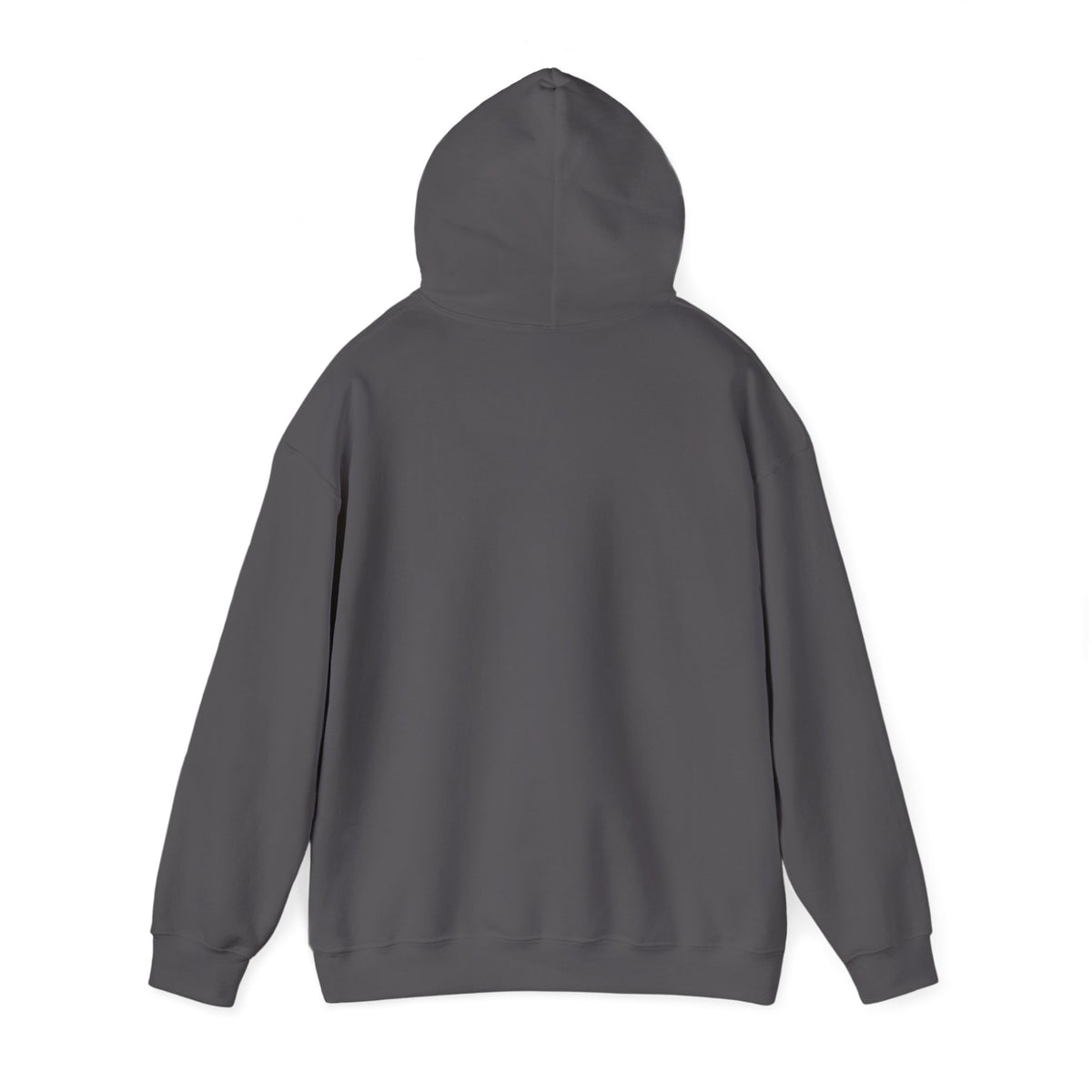 Aesthetic Website Designs Hoody