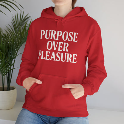 Purpose Over Pleasure Awakening Righteousness Hoody Apparel For Men and Women